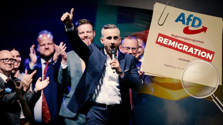 AfD's "Remigration" Plan: A German Far-Right Threat