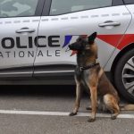 Elderly Woman Attacked with Hammer in Poissy
