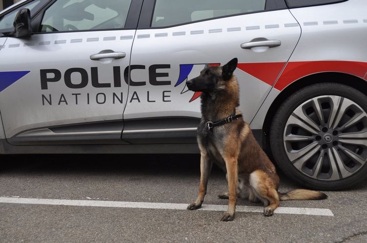 Elderly Woman Attacked with Hammer in Poissy