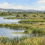 France's First Biodiversity Credits Site Nears Approval