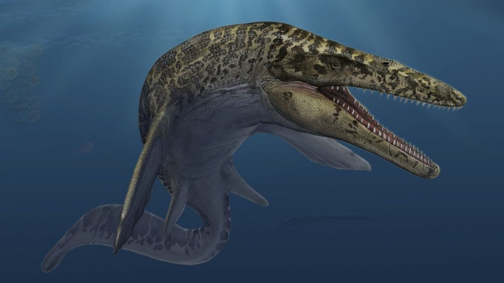 Freshwater Mosasaur Fossil Rewrites Marine Reptile Evolution
