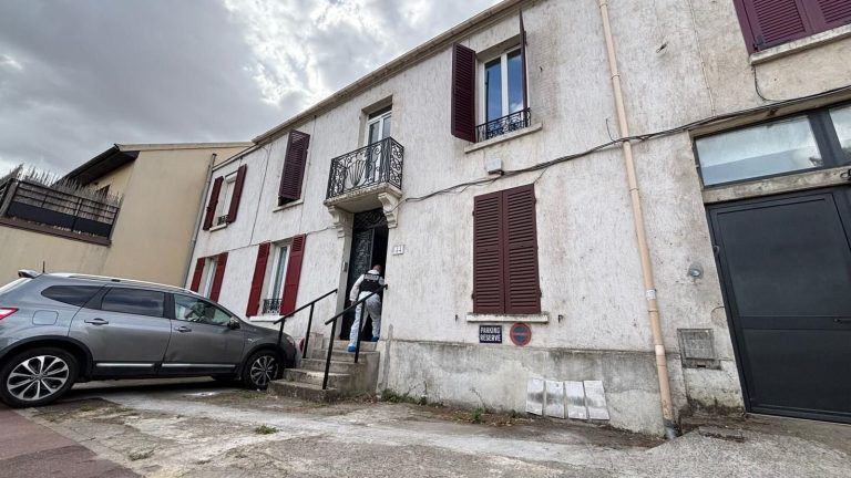 Seven-Year-Old Boy Accused of Killing His Aunt in Val-de-Marne