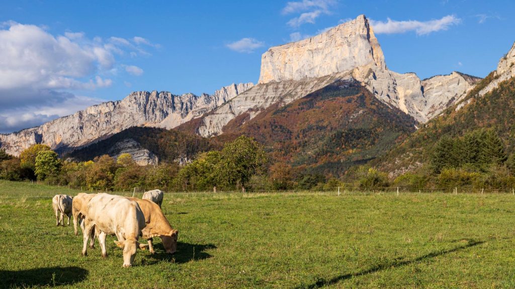 Six Autumn Walks in France Accessible by Public Transport
