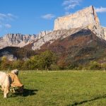 Six Autumn Walks in France Accessible by Public Transport