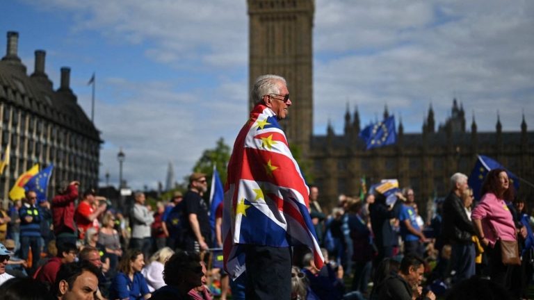 Majority of Britons Back Return to EU, Poll Finds