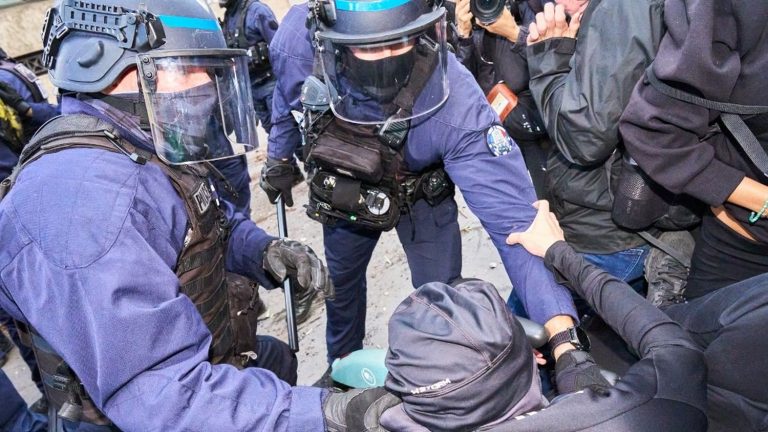 France's Mass Arrests of Student Protesters Explained