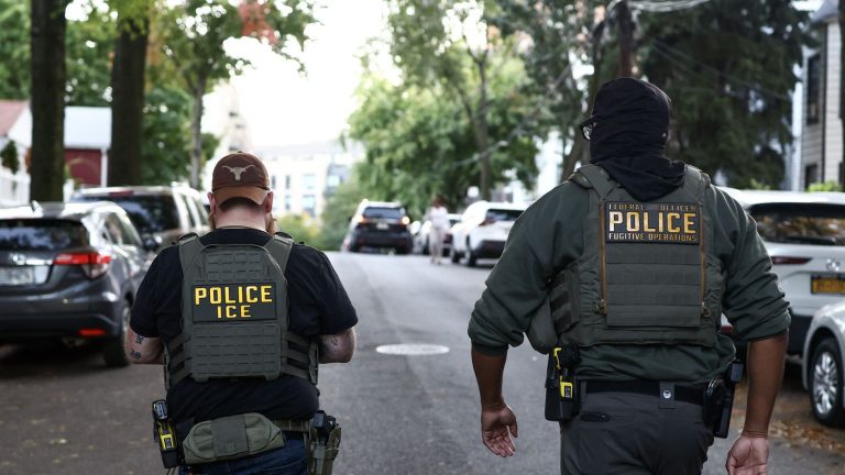 ICE Agents Accused of Deliberately Striking Mexican Worker