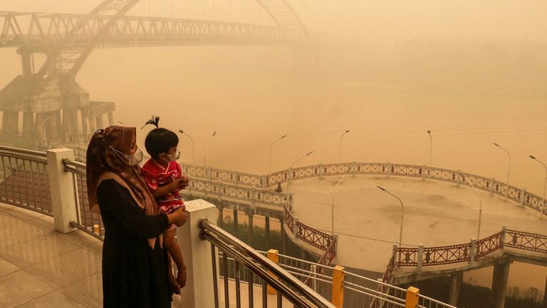 Indonesia Fires: Toxic Haze Shuts Schools in Malaysia