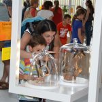 Insect House Opens Extra Days for All Saints' Holiday
