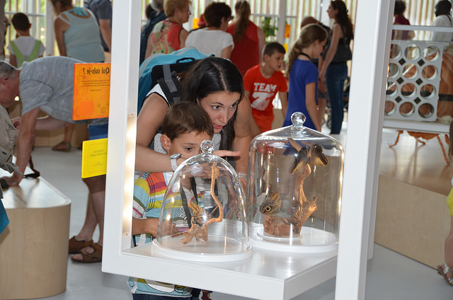 Insect House Opens Extra Days for All Saints' Holiday