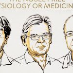 Nobel Prize in Medicine 2026: Optogenetics Wins