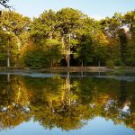 A Green Walk Through Saint-Germain Forest to Poissy