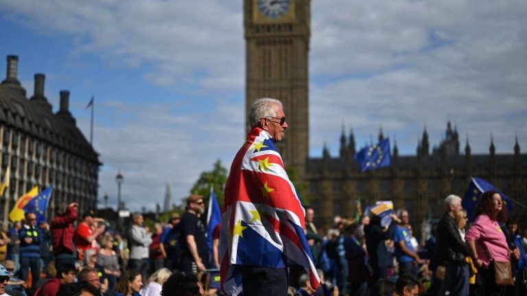 UK Students Export French Protest Tactics