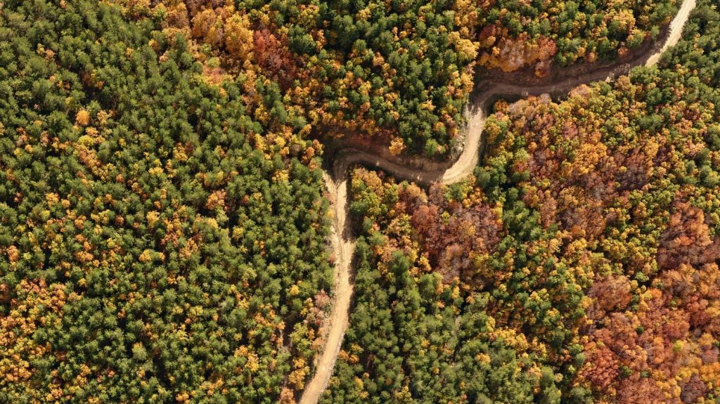 UN Reports 252 Million Hectares of Nature Restored Worldwide